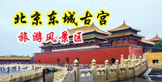 “把骚妇的骚逼用大鸡巴狂操,骚逼操死你网站”中国北京-东城古宫旅游风景区